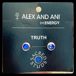Alex and Ani “Truth” earrings